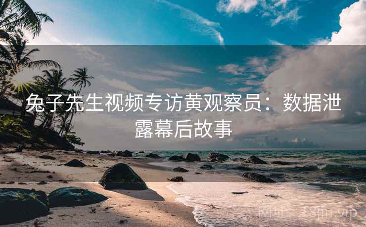 兔子先生视频专访黄观察员：数据泄露幕后故事