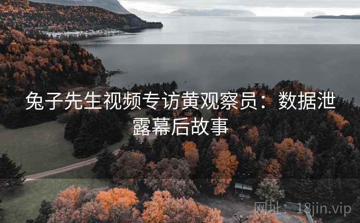 兔子先生视频专访黄观察员：数据泄露幕后故事
