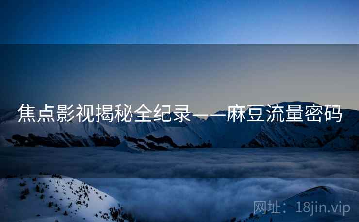 焦点影视揭秘全纪录——麻豆流量密码