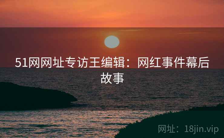 51网网址专访王编辑：网红事件幕后故事