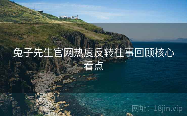 兔子先生官网热度反转往事回顾核心看点