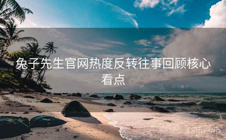 兔子先生官网热度反转往事回顾核心看点