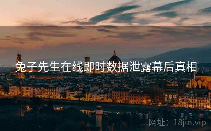 兔子先生在线即时数据泄露幕后真相