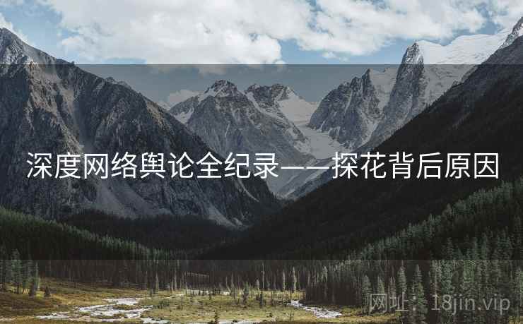 深度网络舆论全纪录——探花背后原因