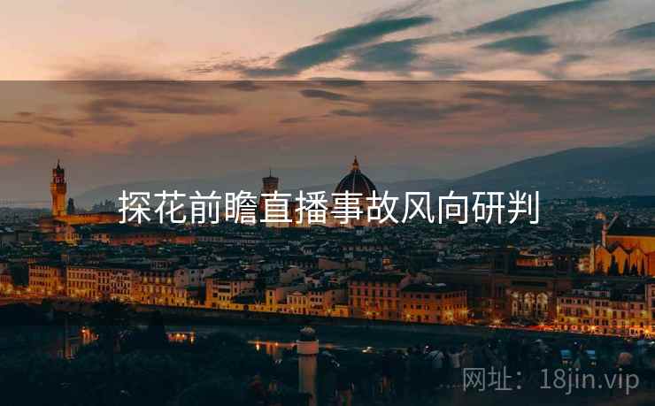 探花前瞻直播事故风向研判