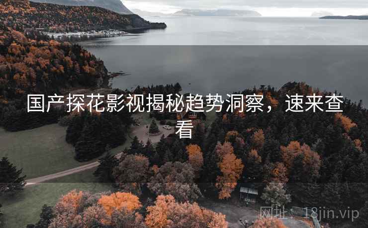国产探花影视揭秘趋势洞察,速来查看